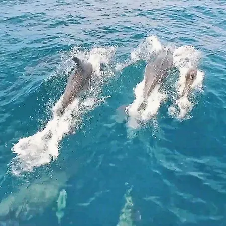 Vakantiehuis Townhouse Crystal Bay By Algarve Vacation